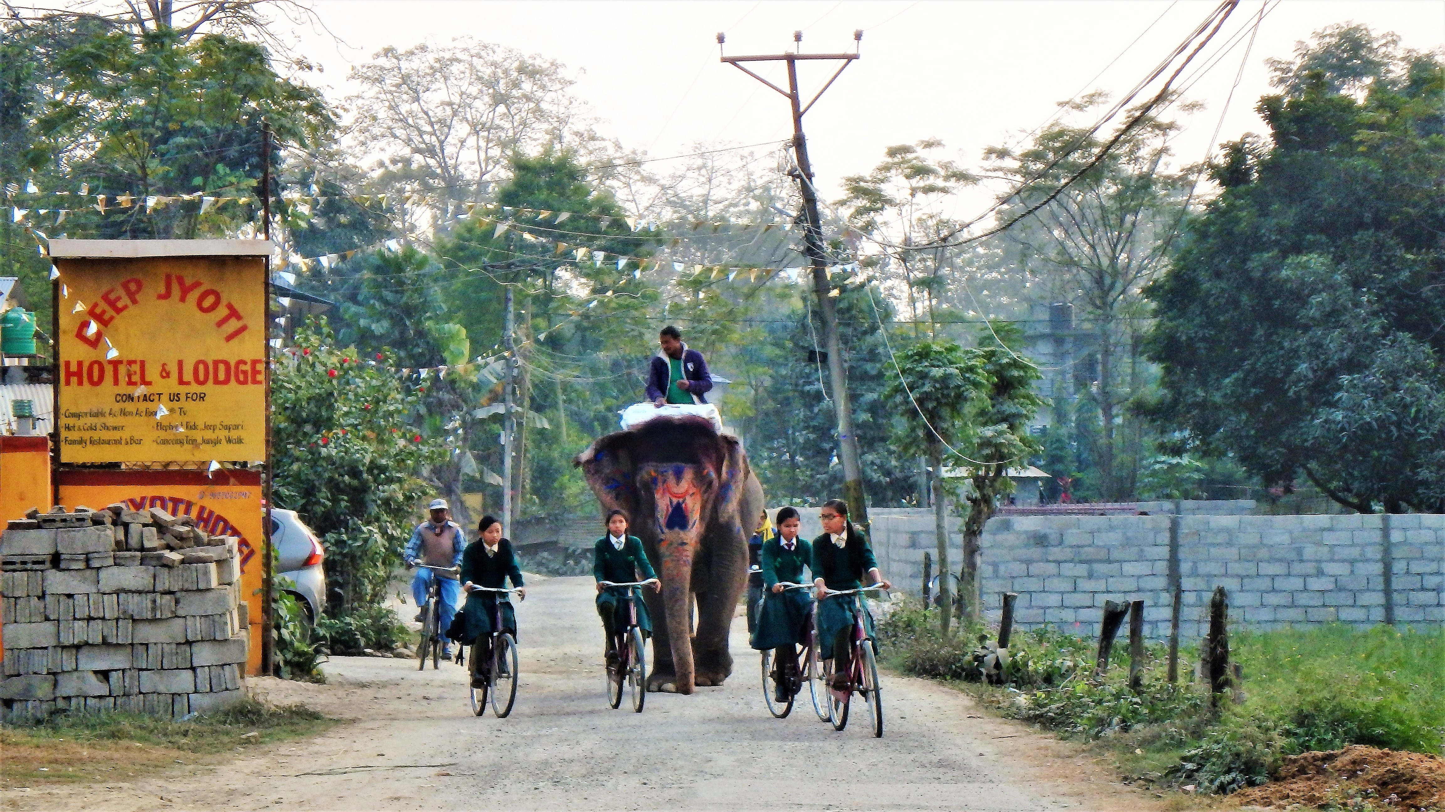 OLYMPUS DIGITAL CAMERA