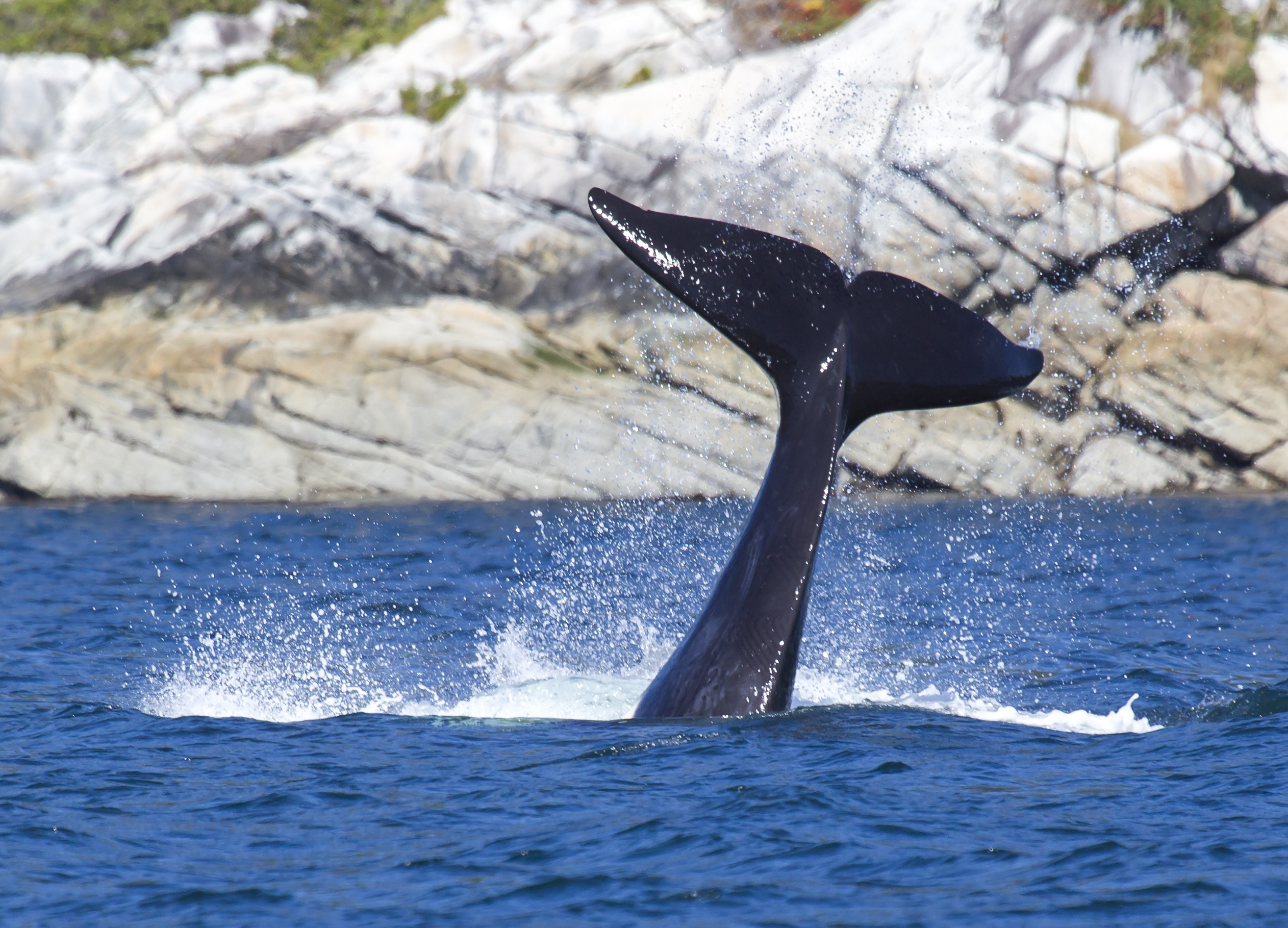 shutterstock_120025873