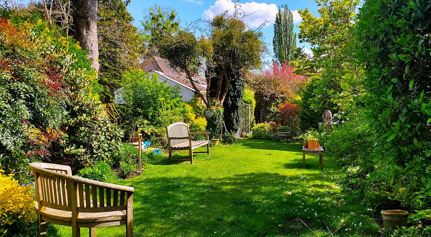 springtime in england – Animal and Nature Connect